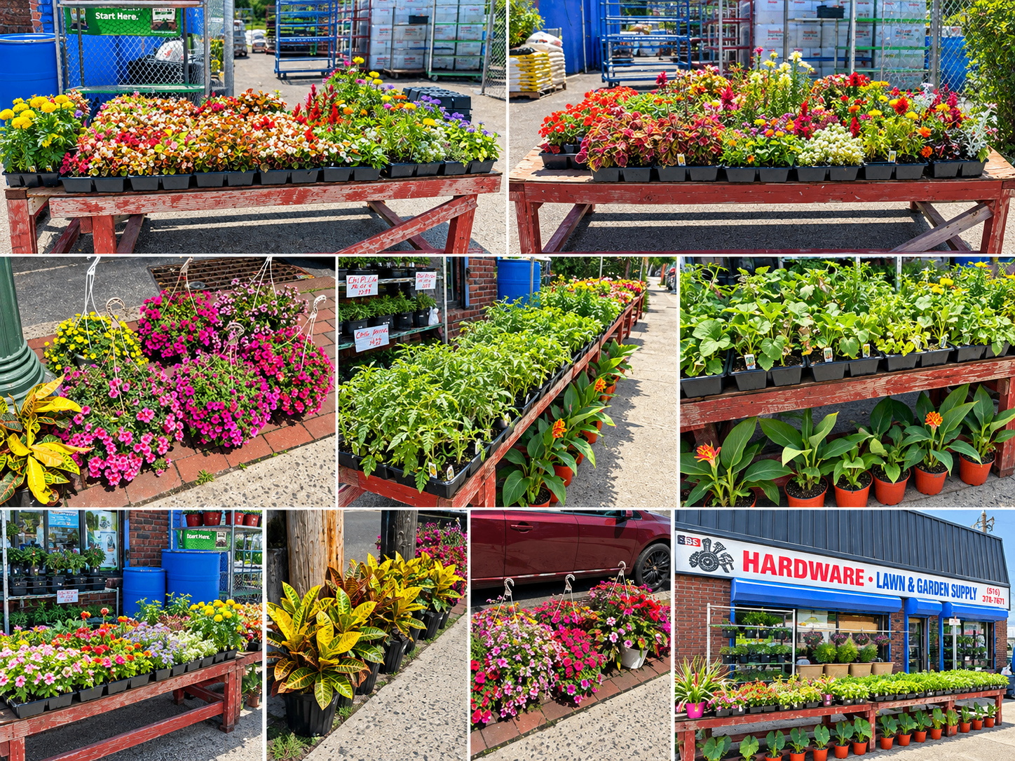 Flowers, hanging baskets, and plants displayed outside SBS Hardware during peak season